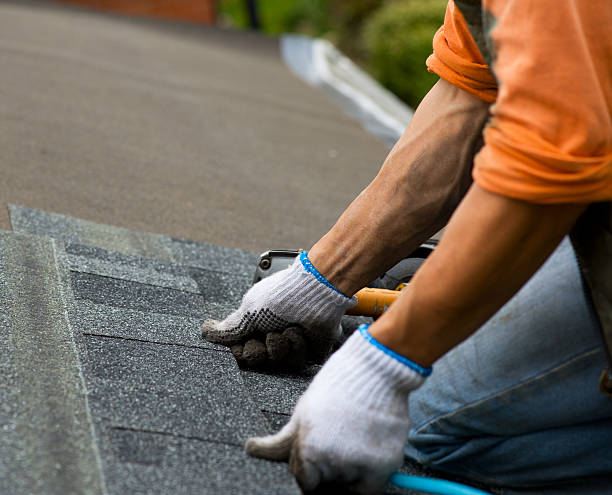 Roof Gutter Cleaning in Madison, WI